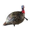 Image 1 : Avian-X LCD Quarter-Strut Jake Decoy, New