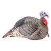 Image 1 : Hunter Specialties Strut Lite Semi Agressive Jake Decoy, New