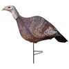 Image 1 : Primos Lil Gobbstopper Hen Turkey Decoy, New