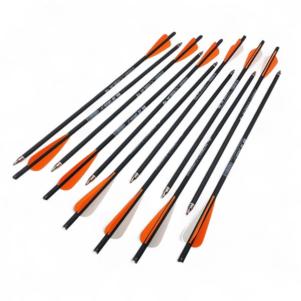 Reeg 20" Crossbow Bolts X 12