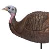 Image 1 : Primos Lil Gobbstopper Hen Turkey Decoy, New