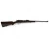 Image 1 : Toz 16 Bolt Action Rifle .22LR 21" Barrel Wood Stock