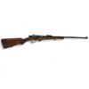 Image 1 : Toz 18 Bolt Action Rifle 22LR 21" Barrel Wood Stock