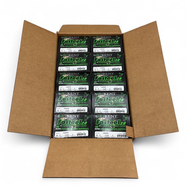 Kent Fasteel 2.0 Ultra High Performance 12 Ga 3" #2 Ammunition, 250 Round Case