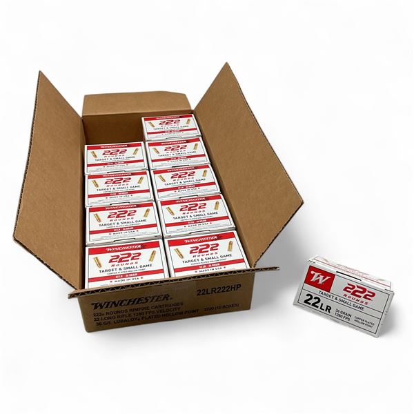 Winchester 22 LR 36 Grain Plated Hollow Point Ammunition, 2220 Round Case