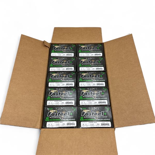 Kent Fasteel + Non Toxic 12 Ga 3" 2X4 Ammunition, 250 Round Case