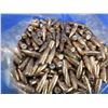 Image 1 : 22 Cal. .224" 55gr FMJ BT Bullets - Bag of Approx. 500