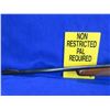 Image 4 : Non-Restricted - Winchester Model 70 in 270 WCF