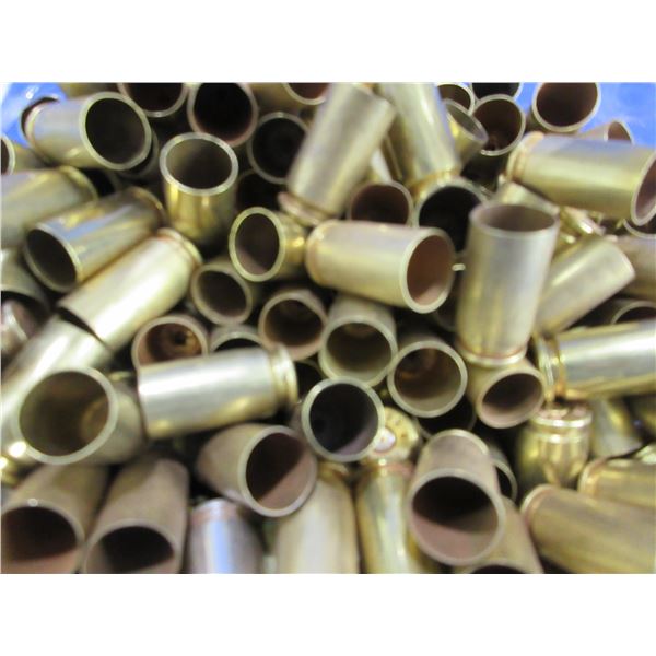Brass Only - 40 S&W Polished Unprimed - Bag of 250
