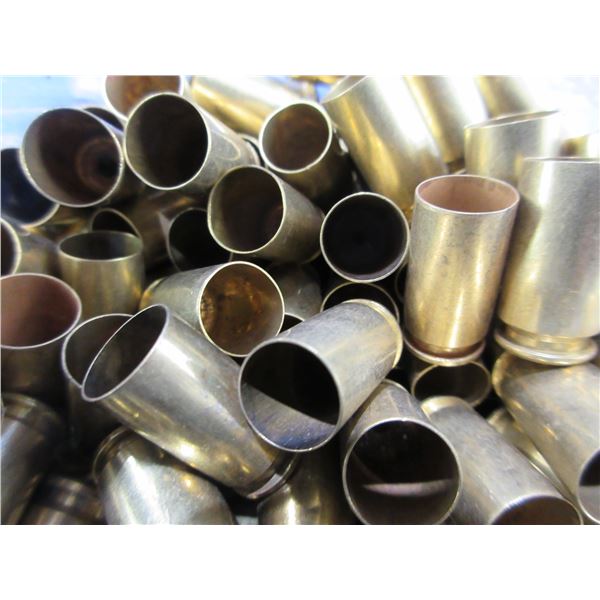 Brass Only - 40 S&W Polished Unprimed - Bag of 250