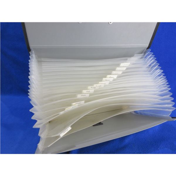 Expanding File Folder (Accordian File Organizer)