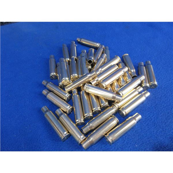 Brass Only - 7.62X51 Unprimed - Bag of 40