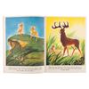 Image 4 : A Walt Disney's "Bambi" Linen-Like Picture Book.