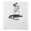 Image 6 : A Collection of Disney Parks Screen Printing Transparencies.