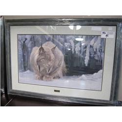 Framed Print, Dozing Lynx By Robert Bateman