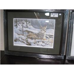 Framed Print, Keen Observer By Neil Blackwell