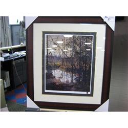 Framed Limited Edition Print