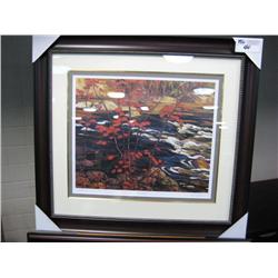 Framed Limited Edition Print