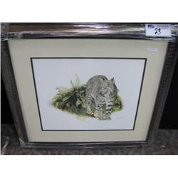 Framed Print