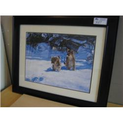 Framed Print, 2 Cougers