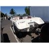 Image 4 : 1989 Sea Ray