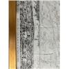 Image 2 : Old World Map of Sienna by unknown