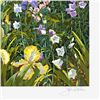 Image 2 : Fox Gloves and Irises by Powell John