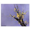 Image 1 : Little Plum Flower by Leung Original