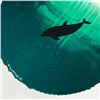 Image 2 : Dolphing Diving Deep by Wyland Original