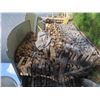 Image 2 : Cut/Split Firewood (3 Piles) 10ft x 5ft x 6ft ,  3ft x 7ft x 5 1/2ft , 5ft x 5ft x 16'' 