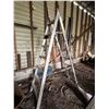 Image 1 : Multi Ladder 