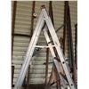 Image 2 : Multi Ladder 