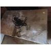 Image 3 : Antique Wood Chest with Original Paint 20'' x 