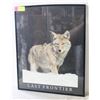 Image 1 : WOLF PICTURE POSTER LAST FRONTIER 16” X 20”