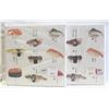 Image 1 : PAIR OF WALL HANGINGS