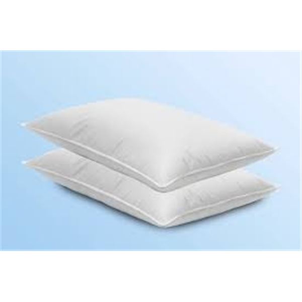 NEW 2PK NORTHERN FEATHER CANADA ZEN PILLOW