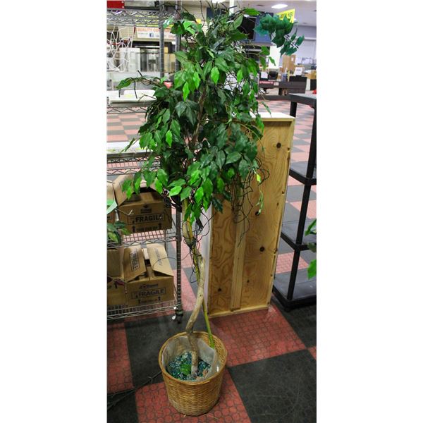 6FT TALL SILK PLANT
