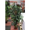 Image 1 : 5 FT TALL SILK PLANT