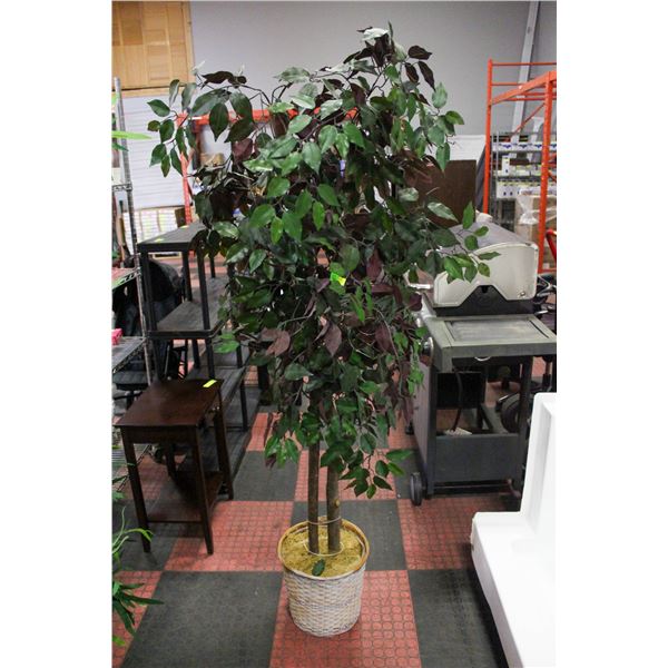 6FT TALL SILK PLANT
