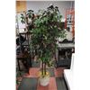 Image 1 : 6FT TALL SILK PLANT