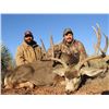 Image 1 : AZ B&B OUTFITTER: 5-Day Coues OR Mule Deer Hunt for Two Hunters in Arizona - Includes Trophy Fees