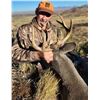 Image 3 : AZ B&B OUTFITTER: 5-Day Coues OR Mule Deer Hunt for Two Hunters in Arizona - Includes Trophy Fees