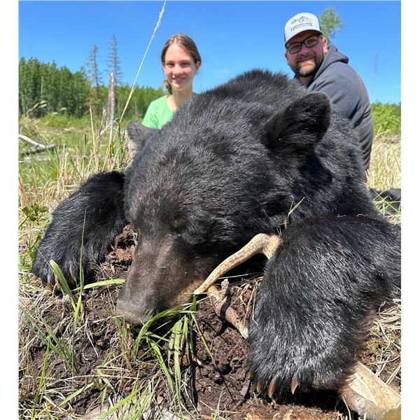 HORSESHOE CREEK: 6-Day Bear Hunt for One Hunter in British Columbia - Includes Best Available Bear