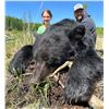 Image 1 : HORSESHOE CREEK: 6-Day Bear Hunt for One Hunter in British Columbia - Includes Best Available Bear