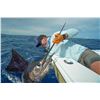 Image 2 : CROCODILE BAY: 5-Day/5-Night  Fishing Adventure for Two Anglers in Costa Rica