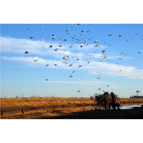 RIVER PLATE WINGSHOOTING: 3-Day High-Volume Duck Hunt for Two Hunters in Entre Rios, Argentina