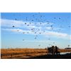 Image 1 : RIVER PLATE WINGSHOOTING: 3-Day High-Volume Duck Hunt for Two Hunters in Entre Rios, Argentina