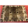 Image 1 : HOLLOWAY FURS: Luxurious 10-Skin Beaver Blanket