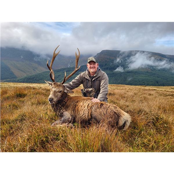 GLACIAL VALLEY: 4-Day Sika Stag Hunt for One Hunter and One NH in Ireland - Includes Trophy Fee
