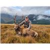 Image 1 : GLACIAL VALLEY: 4-Day Sika Stag Hunt for One Hunter and One NH in Ireland - Includes Trophy Fee
